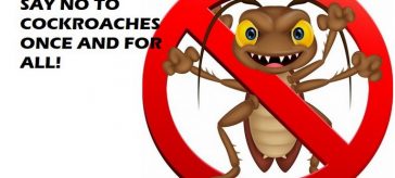 kill cockroaches at home