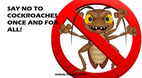 kill cockroaches at home